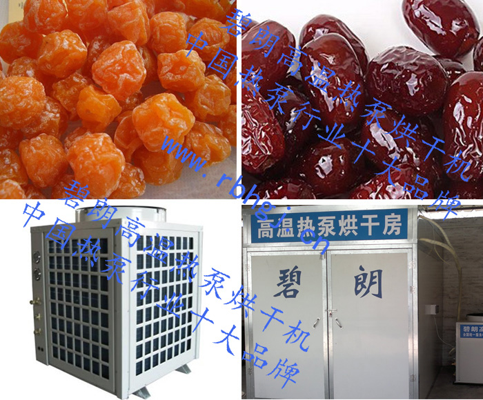 果脯烘干机方案